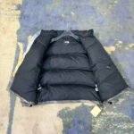 The North Faace Novellty Nuptse Jackket