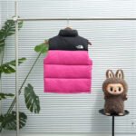 THE NORTH FACE Inspired Children’s down vest 5colors