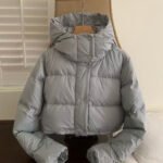 Lululemon Inspired Lululemon Puffer down jacket