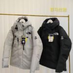THE NORTH FACE Inspired Down Jackets 2colors