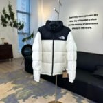 The North Faace Classic style down jacket