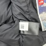 THE NORTH FACE Inspired Down Jackets