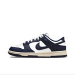 Nike Inspired Nike Dunk SB Low Size T49 – 9colors