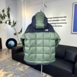 THE NORTH FACE Inspired Zipper cap down jacket 2colors