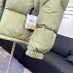 The North Faace Classic style down jacket