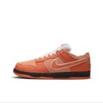 Nike Inspired Nike Dunk SB Low Size T49 – 9colors