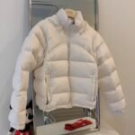 THE NORTH FACE Inspired Retro Nuptse Waterproof down jacket