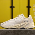 Adidas Yeezy Boost 700 (10 colors )