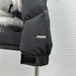 THE NORTH FACE Inspired Down Jackets