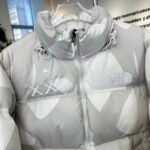 The North Faace Down Jackets