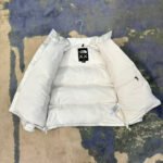 The North Faace Down Jackets