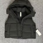 Alo Inspired Down vest