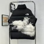 THE NORTH FACE Inspired Down Jackets