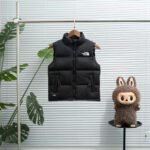 THE NORTH FACE Inspired Children’s down vest 5colors
