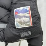 THE NORTH FACE Inspired Down Jackets