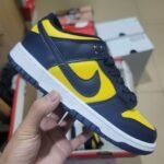 Nike Inspired Nike Dunk SB 2 – 4coors