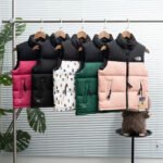 THE NORTH FACE Inspired Children’s down vest 5colors
