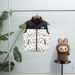 THE NORTH FACE Inspired Children’s down vest 5colors