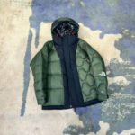 THE NORTH FACE Inspired Zipper cap down jacket 2colors