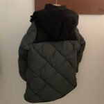 THE NORTH FACE Inspired Down Jackets