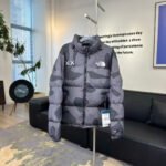 The North Faace Down Jackets