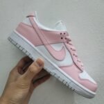 Nike Inspired Nike SB Dunk Low 2 – 6colors