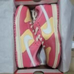 Nike Inspired Nike DUNK SB 1 – 9colors